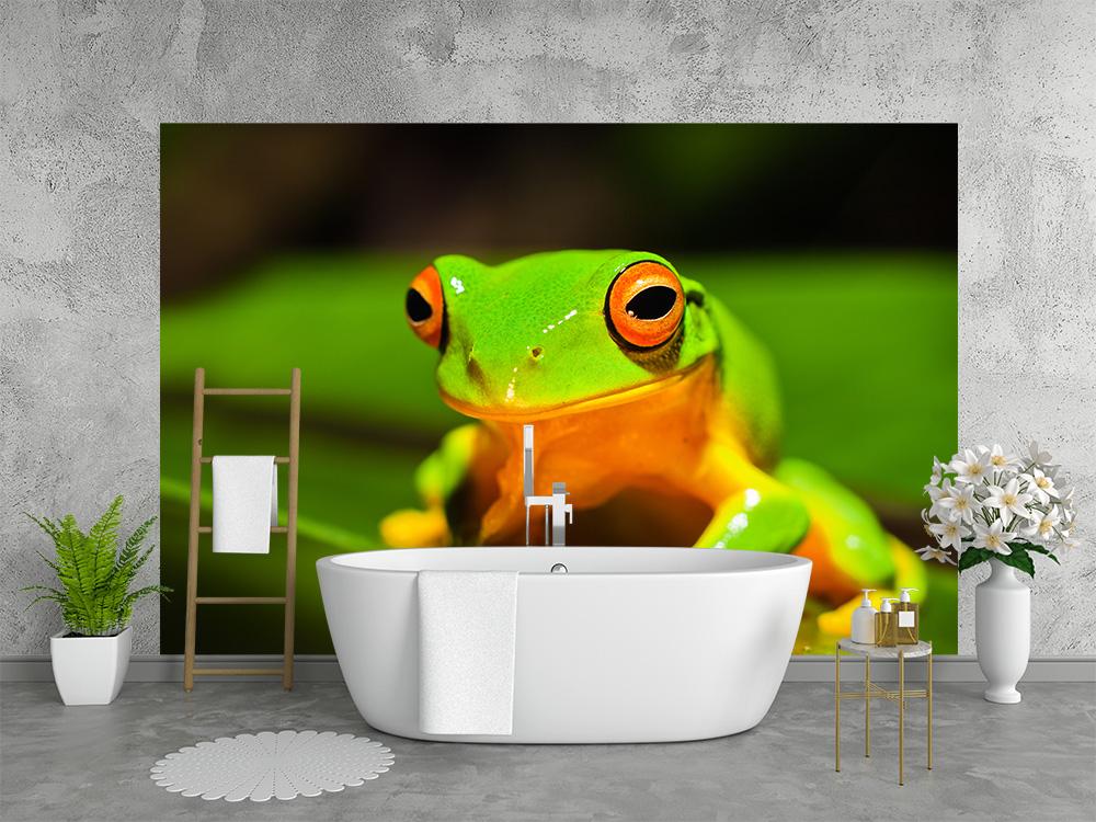 Vlies-Fototapete grüner Frosch in der Natur in einem Badezimmer