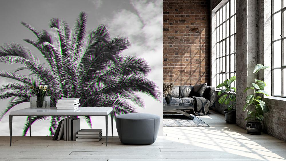 Fototapete Palme mit Schwarz-Weiß und Farbsäumen