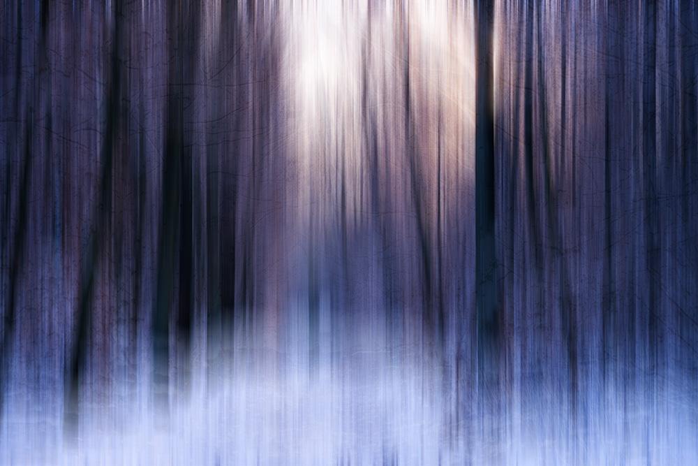 Fototapete abstrakter Winterwald