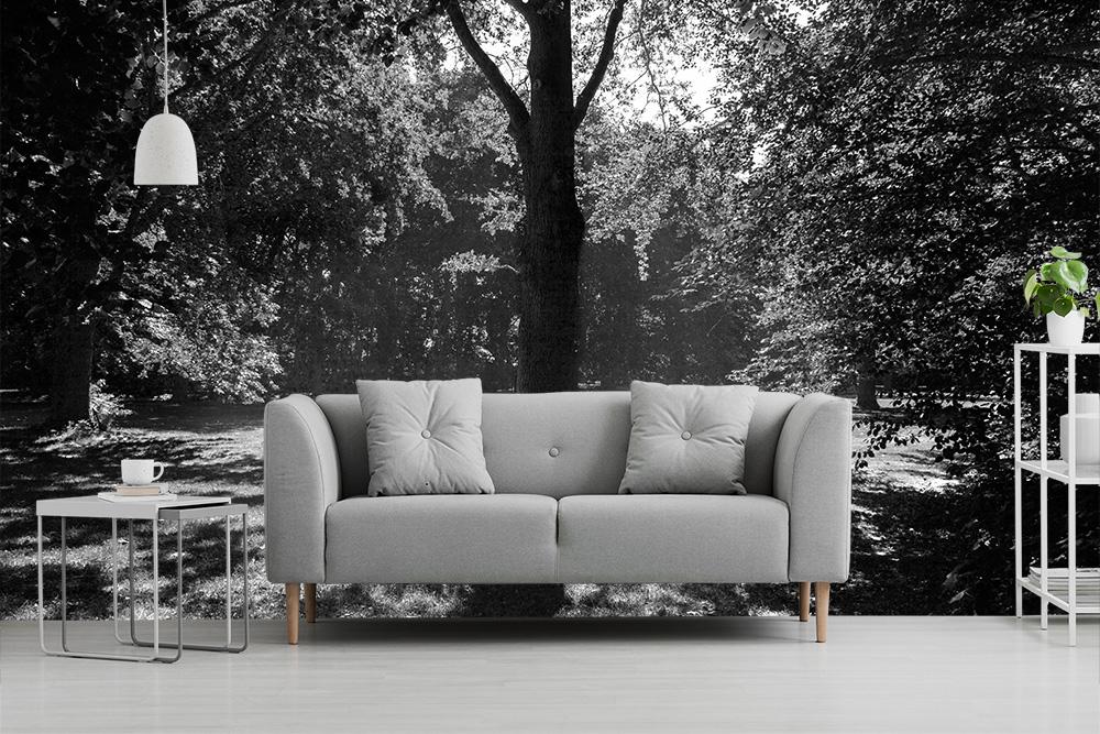 Fototapete Baum an einer Lichtung im Wald