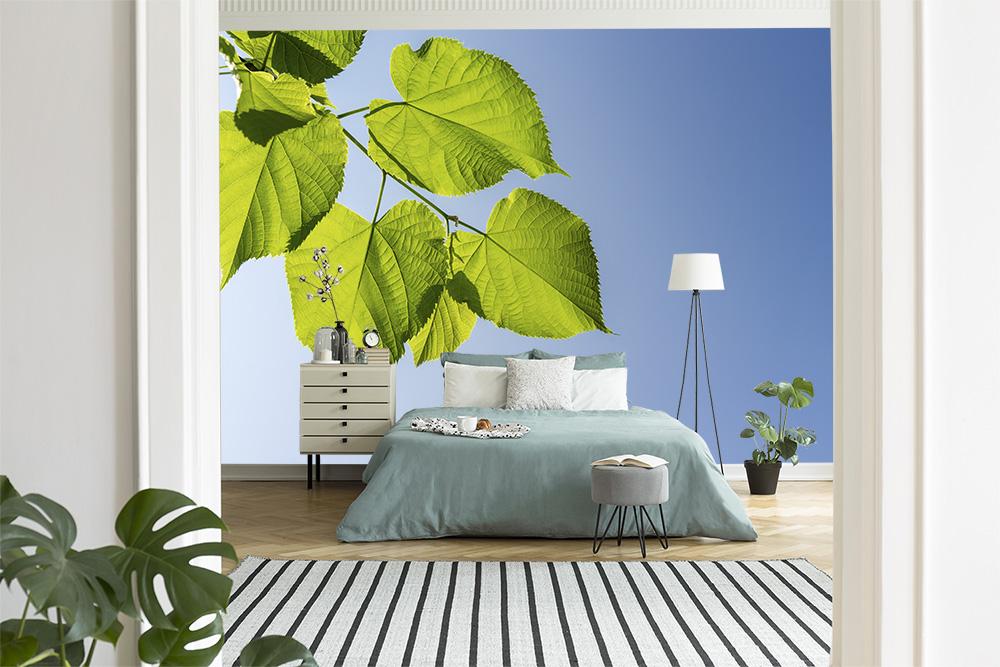 Fototapete Blätter vor blauem Himmel