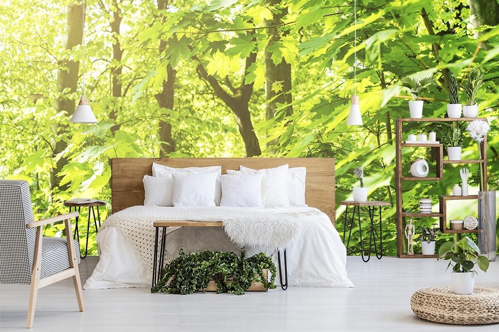 Fototapete Blätter im Sonnenlicht