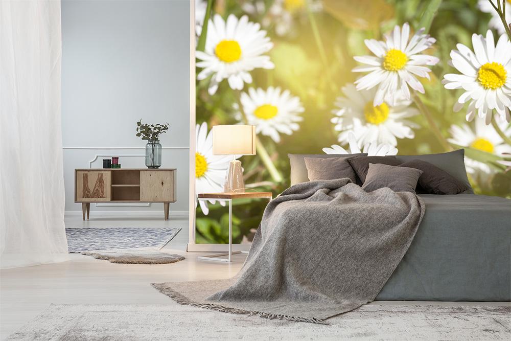 Fototapete Gänseblümchen