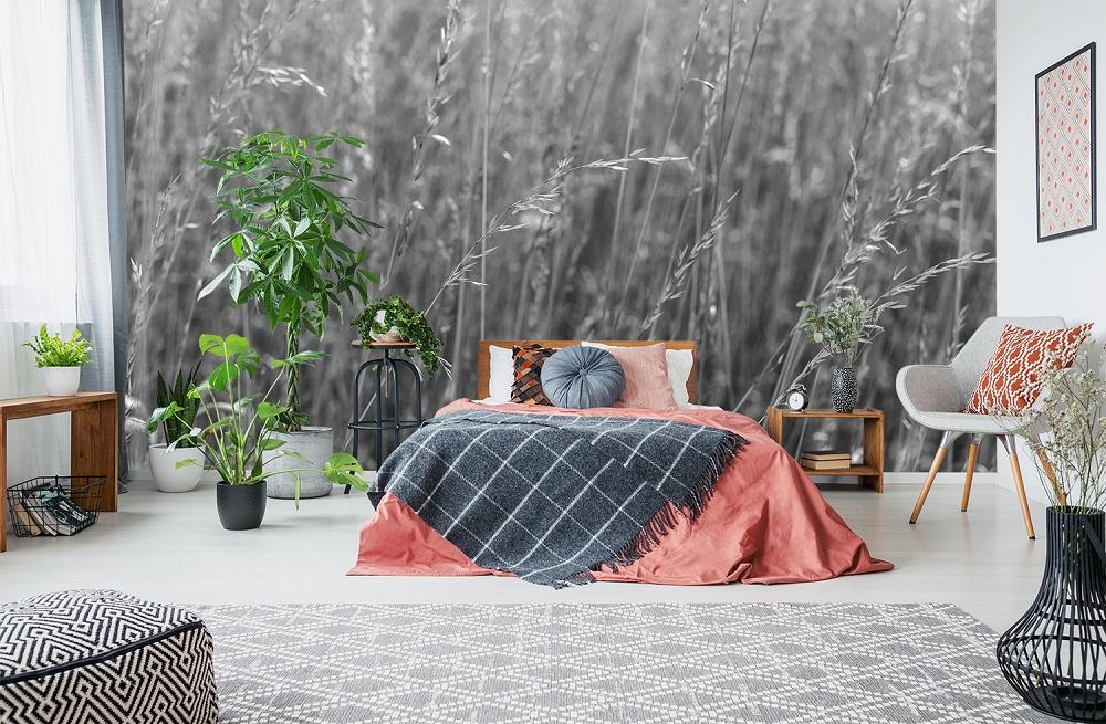 Fototapete Sommergräser