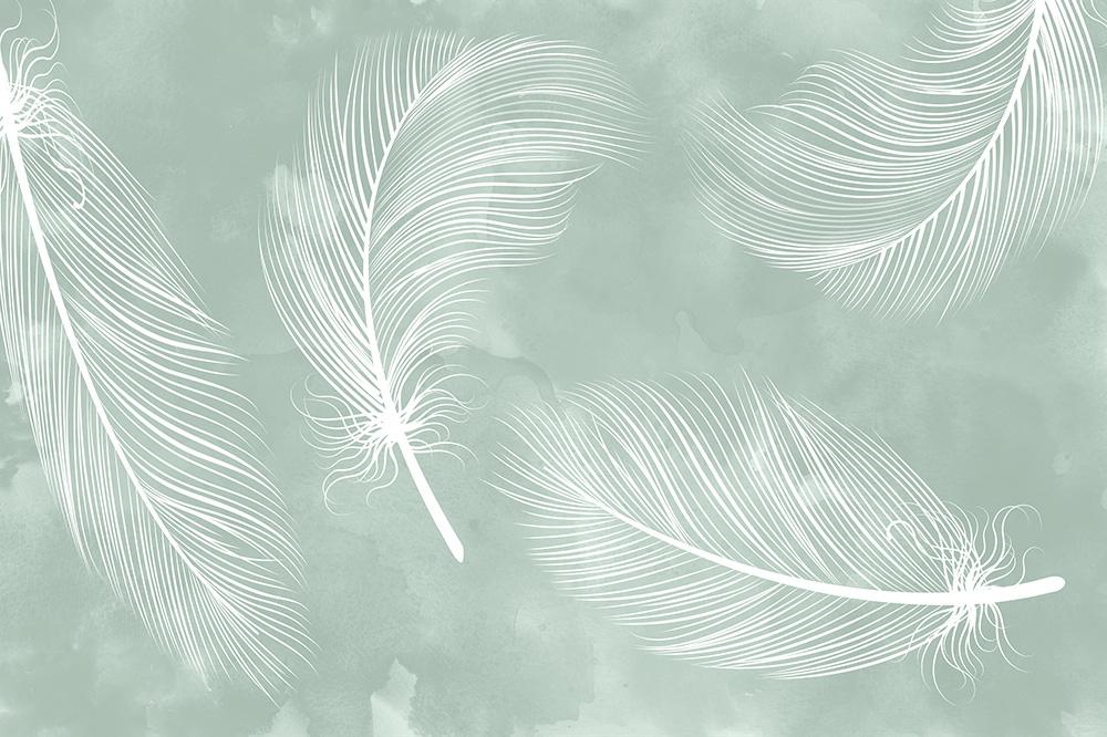 Fototapete mit Federn auf grünem Wasserfarben-Hintergrund