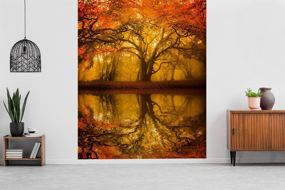 fototapete, bildtapete, wandtapete, baum, see, herbst, herbstlich, herbststimmung, künstlerisch, malerisch, herbststimmung, wasserspiegelung, natur, art, kunst, fotografie, fototapete, bildtapete, wandtapete, bildtapete