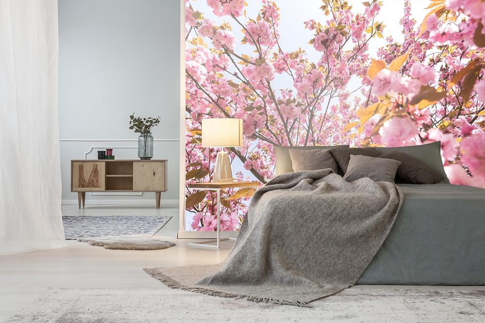 Fototapete Kirschblüte