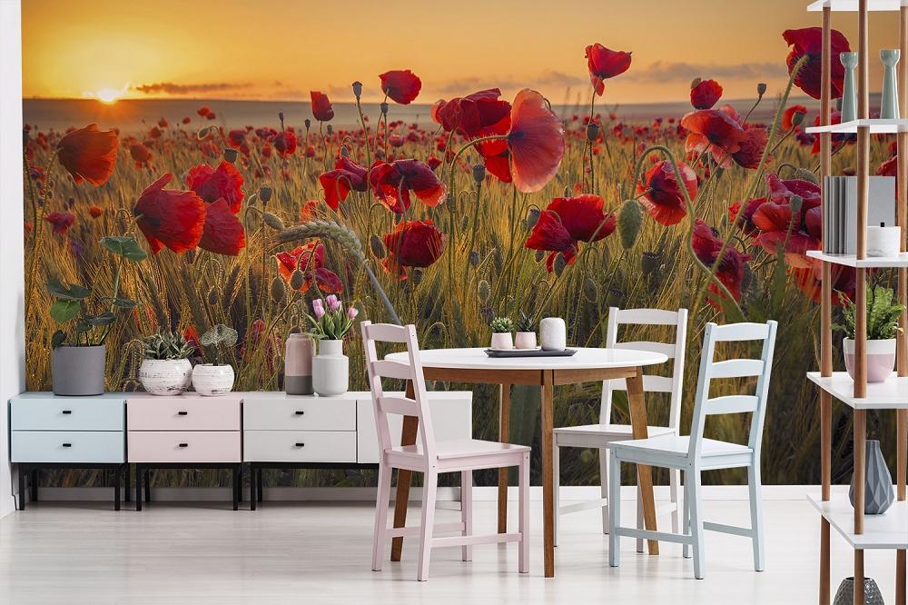 Fototapete Mohnblumen