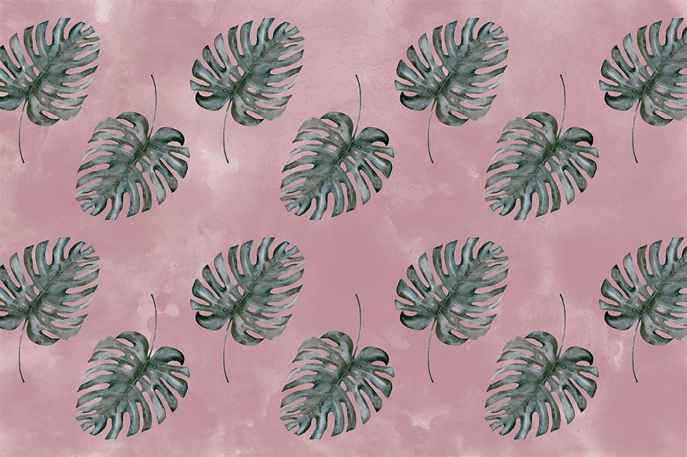 Fototapete mit Monstera Blättern auf Altrosa
