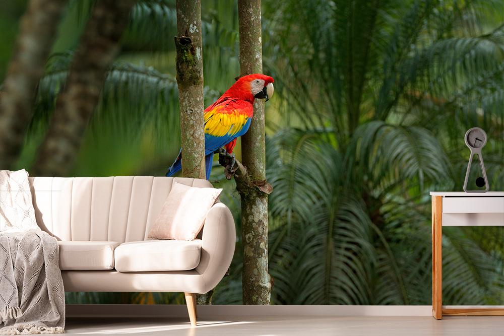 Fototapete Papagei im Dschungel