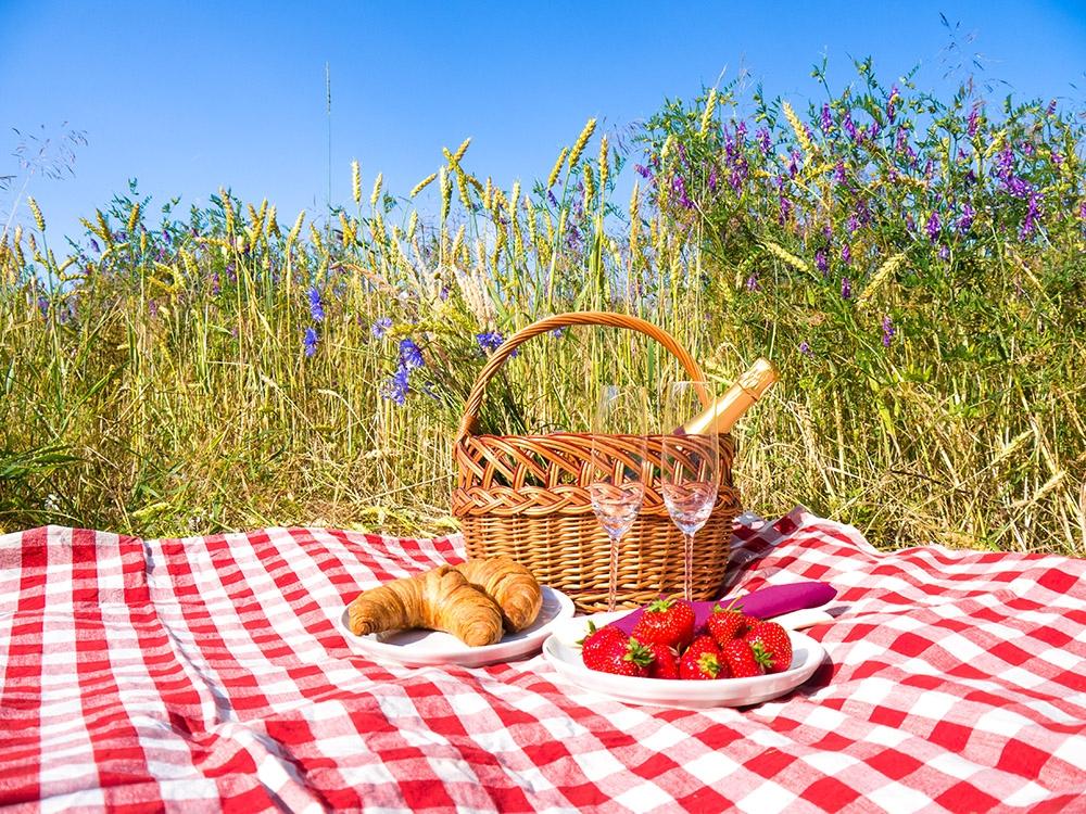 Fototapete Picknick im Sommer
