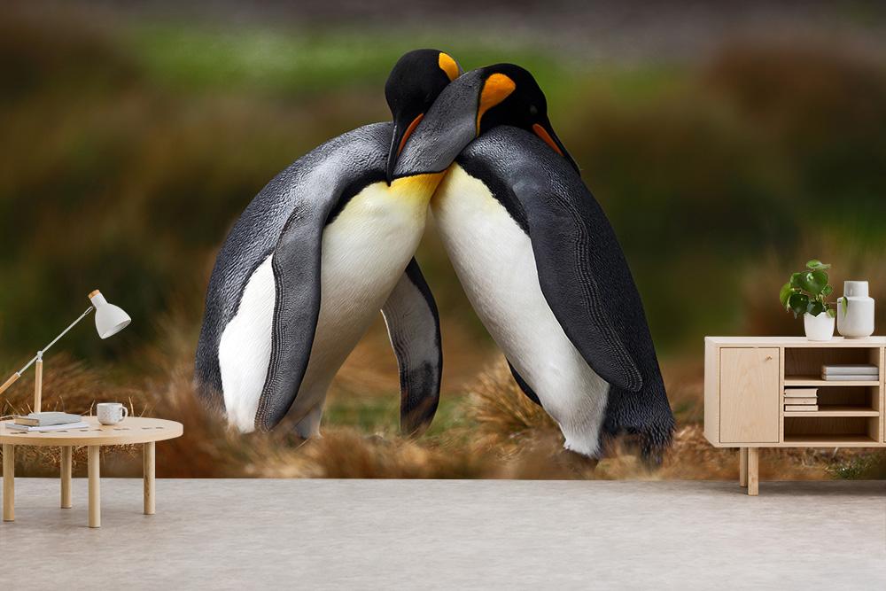 Fototapete zwei sich umarmende Pinguine