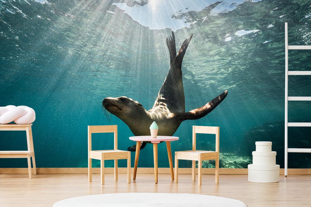 Fototapete Seerobbe unter Wasser