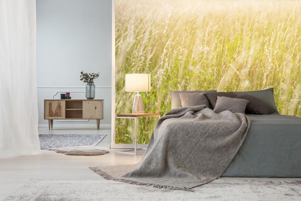 Fototapete Sommergräser
