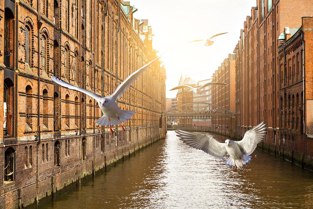 Fototapete Speicherstadt