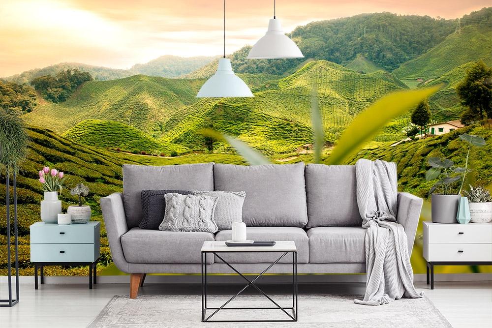 Fototapete grüne Teeplantage