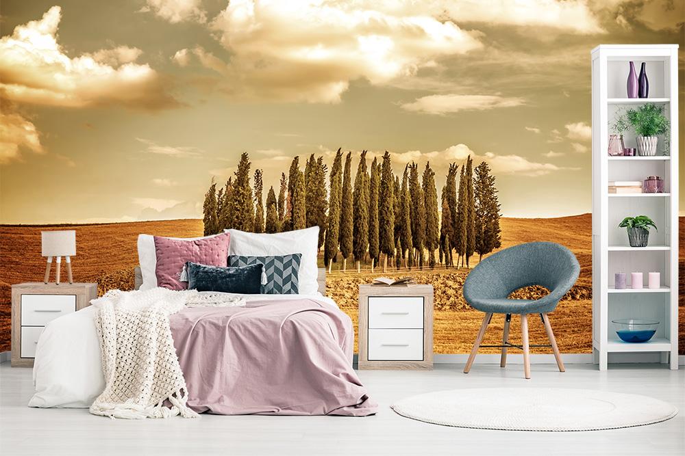 Fototapete Zypressenbäume in der Toskana