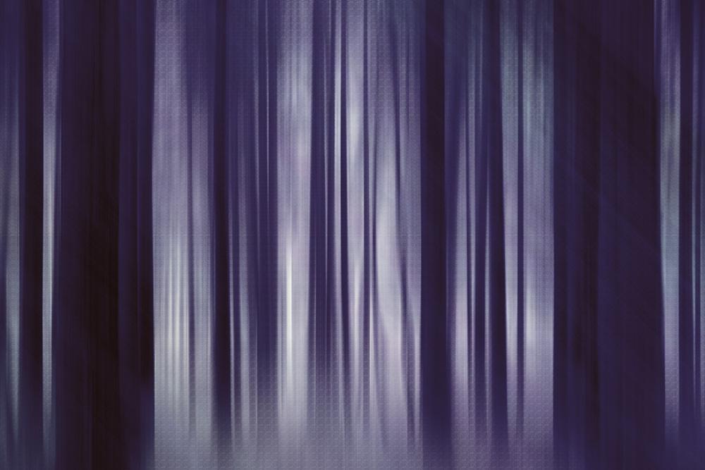 Fototapete künstlerische Darstellung eines dunklen Waldes