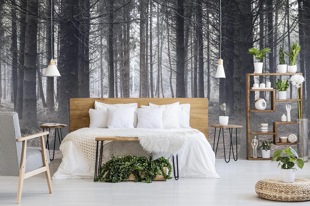 Fototapete nebeliger Wald