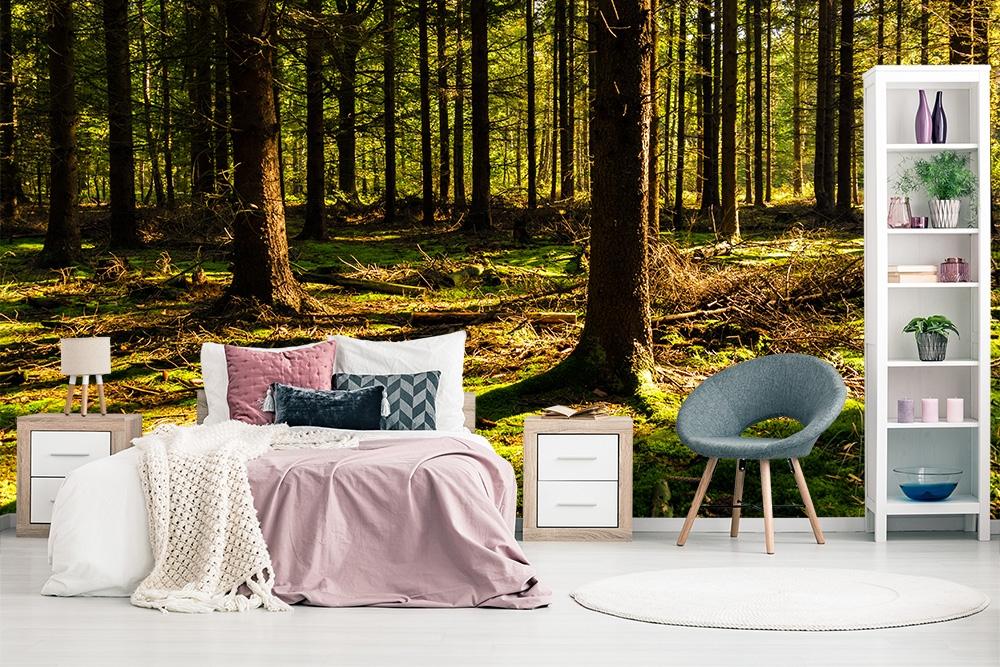Fototapete Wald