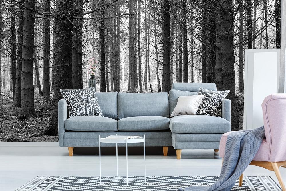 Fototapete Wald in Schwarzweiß