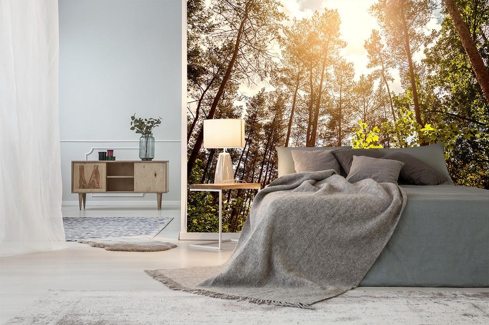 Fototapete Wald im Sonnenlicht