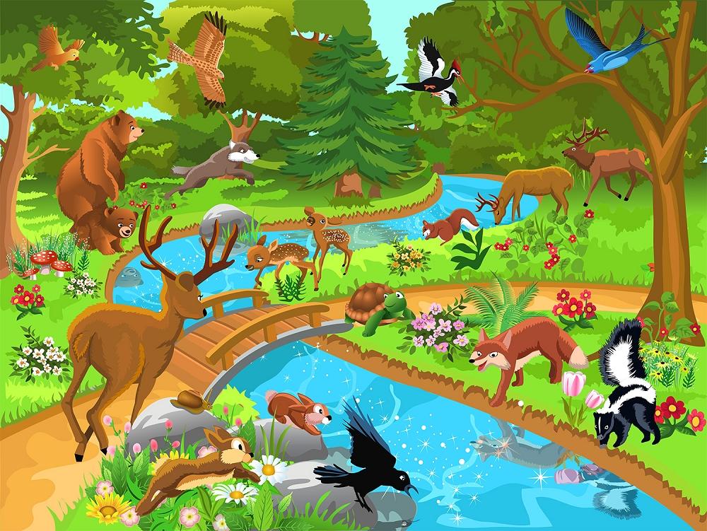 Fototapete Waldtiere an Wasserstelle