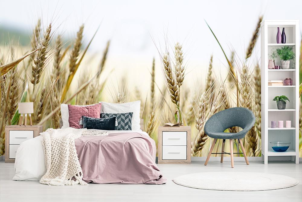 Fototapete Weizenähren im Sommer