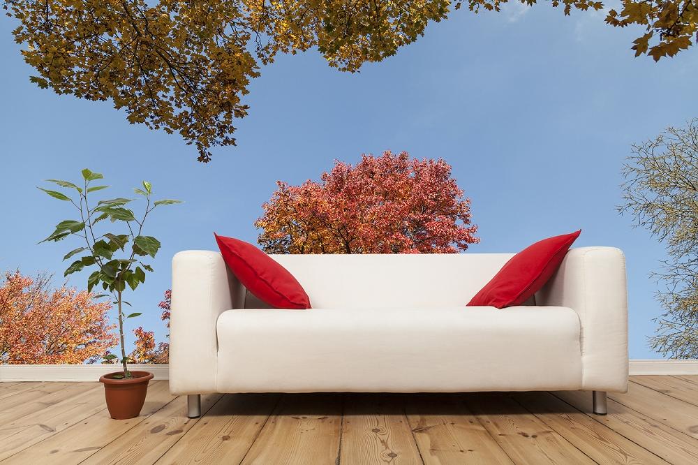 Fototapete Bäume im Herbst