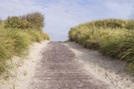 Fototapete Weg in den Dünen an der Nordsee