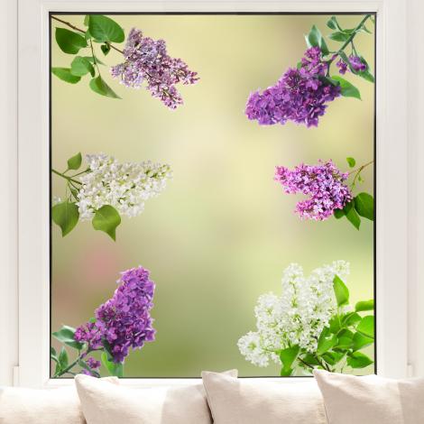 Fenstersticker Flieder für Ihre Fenster
