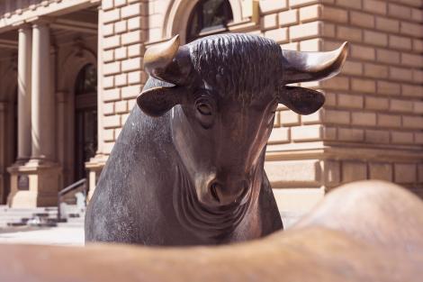 Fototapete Bulle in Frankfurt in Sepia