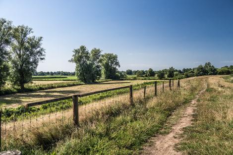 Fototapete Deich in Norddeutschland