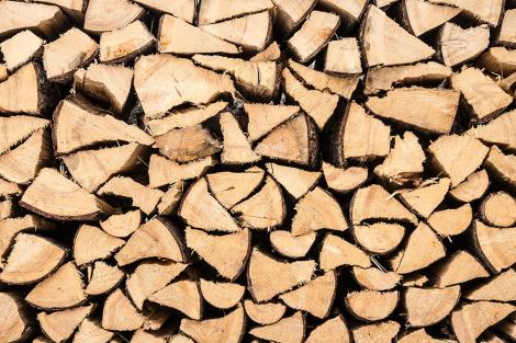 Fototapete – Gestapeltes Brennholz
