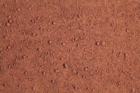 Fototapete Kakaopulver