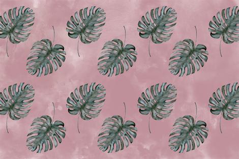 Fototapete mit Monstera Blättern auf Altrosa