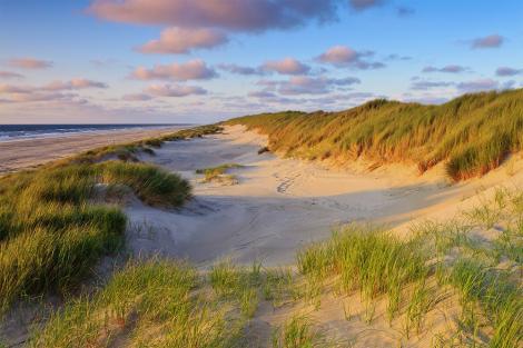 Fototapete Dünen an der Nordsee