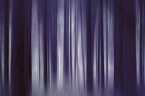 Fototapete künstlerische Darstellung eines dunklen Waldes