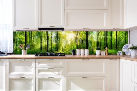 Küchenrückwand mit Sonnenstrahlen im Wald
